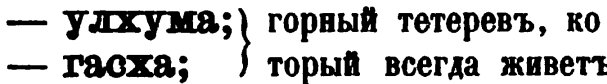 скан zakh1875-0032-09