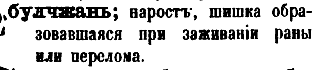 скан zakh1875-0537-05