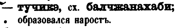 скан zakh1875-0537-06