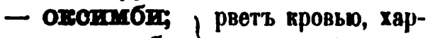 скан zakh1875-0577-17