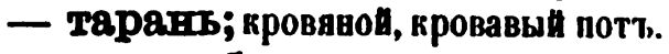 скан zakh1875-0577-26